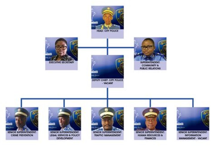 Demystified: Police Rank Structure And Progression