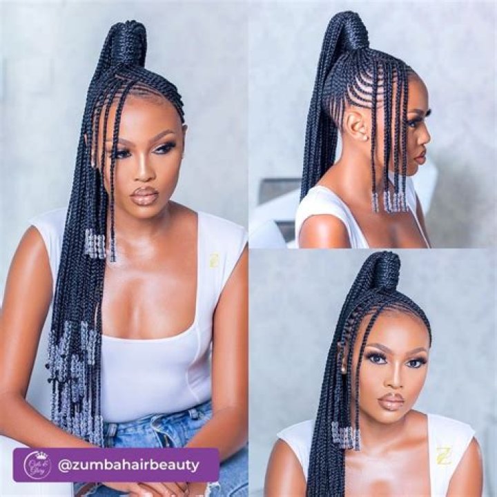 Empowering Black Hair: Stunning Braids For A Regal Look