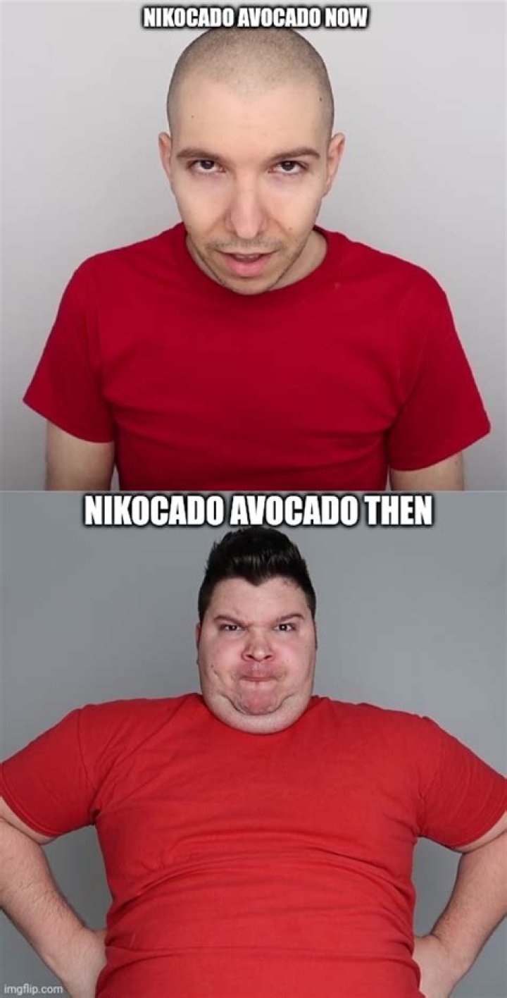 Everything You Need To Know About Nikocado Avocado