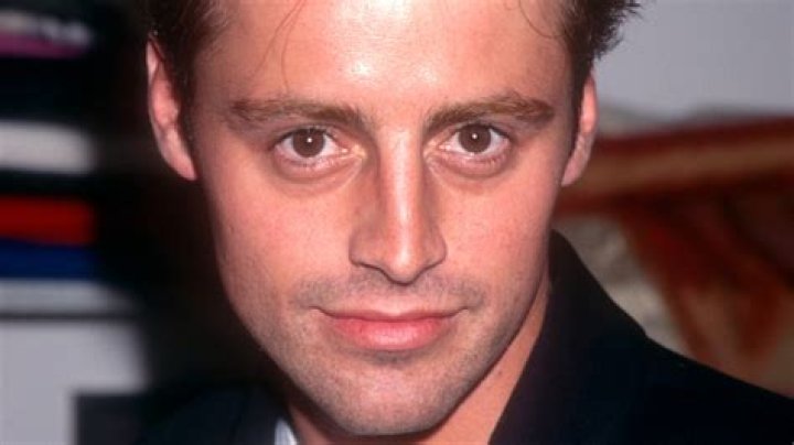 Exploring The Cinematic Journey Of Matt LeBlanc: A Dive Into His Movies