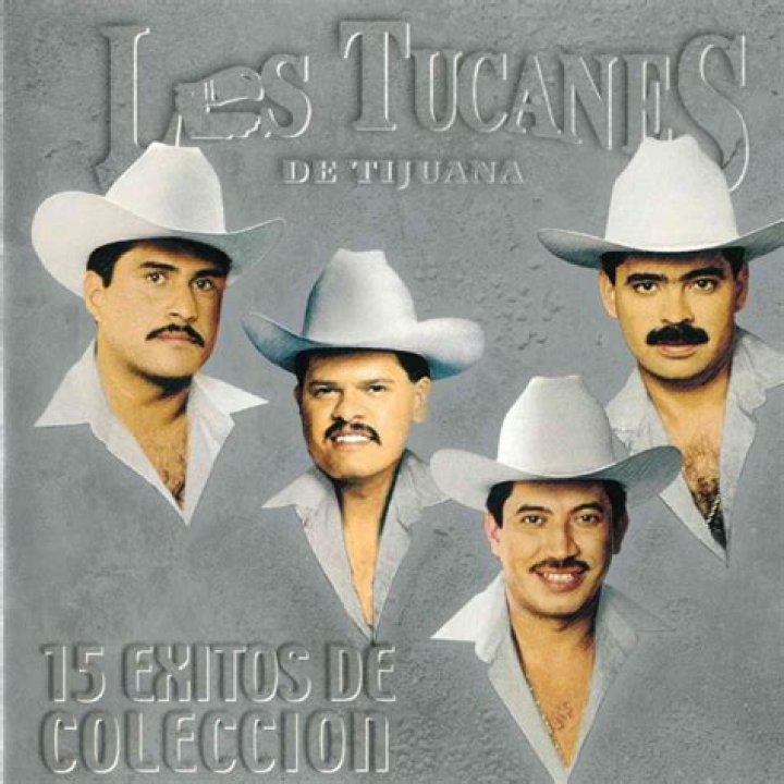 How Much Is Los Tucanes De Tijuana Worth? A Comprehensive Breakdown
