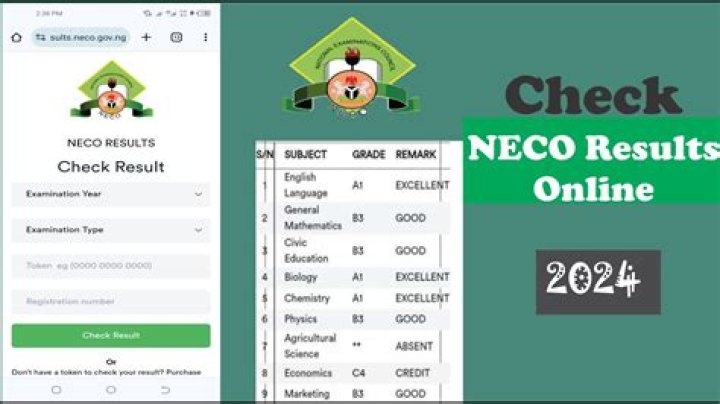 How To Check NECO Result Online: A Comprehensive Guide