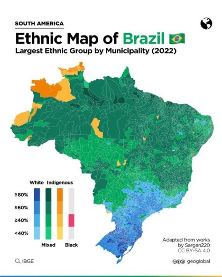 Pitbull Ethnicity: Understanding The Origins And Diversity