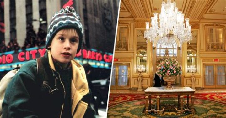 The Complete Guide To The "Home Alone In New York" Cast