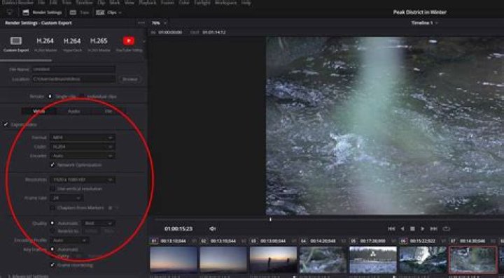 The Definitive Guide To Rose Byrne's Spouse