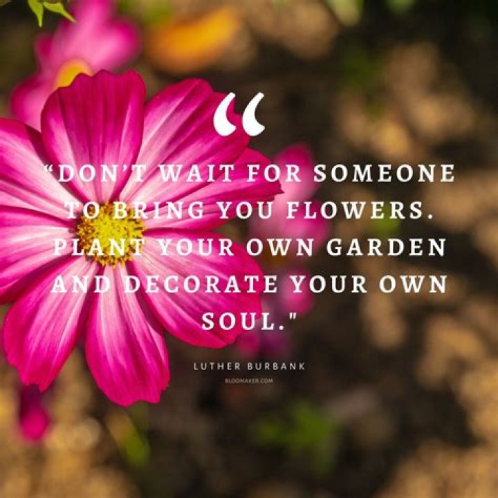 The Ultimate Collection Of Beautiful Quotes About Flowers