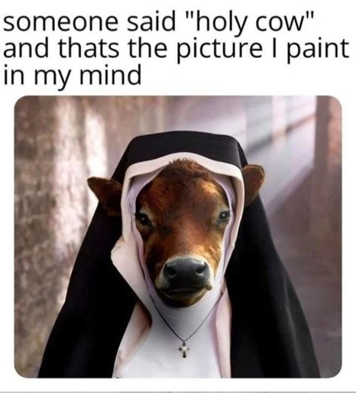 The Ultimate Collection Of ROFL-Inducing Funny Cows Memes