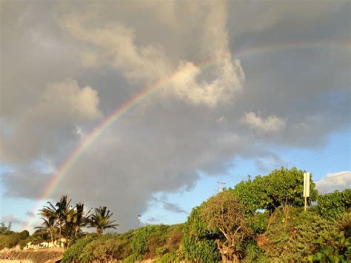 The Ultimate Guide To The Over The Rainbow Hawaii Guy
