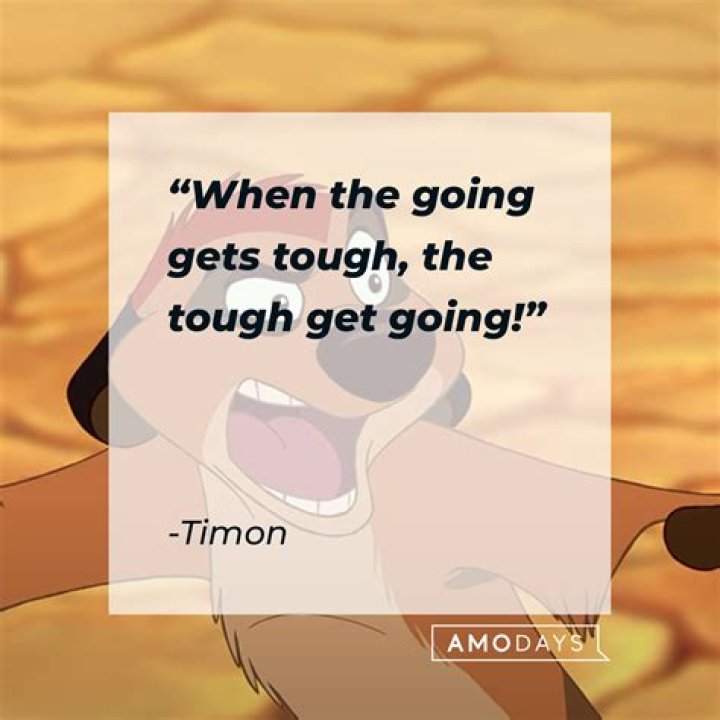 The Wise And Witty Wisdom Of Timon: Unforgettable Quotes From The Lion King