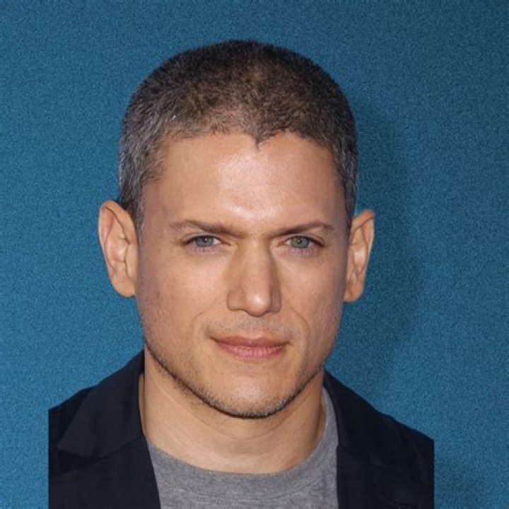 Top-Notch Wentworth Miller Movies And TV Shows: An Entertainment Journey