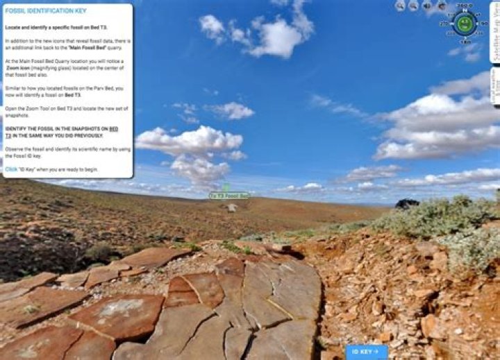 Ultimate Guide To Life's Reasons For Existence