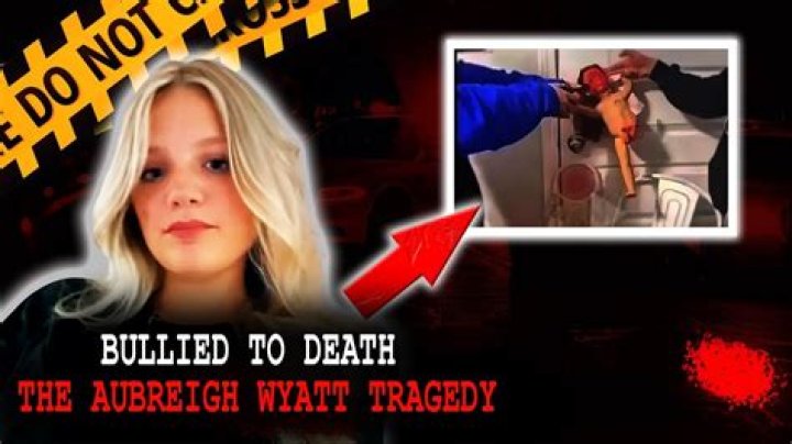 Understanding The Tragic Circumstances Surrounding Aubreigh Wyatt's Death