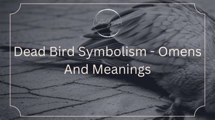 Unsettling Omens: Birds Associated With Death And Mortality