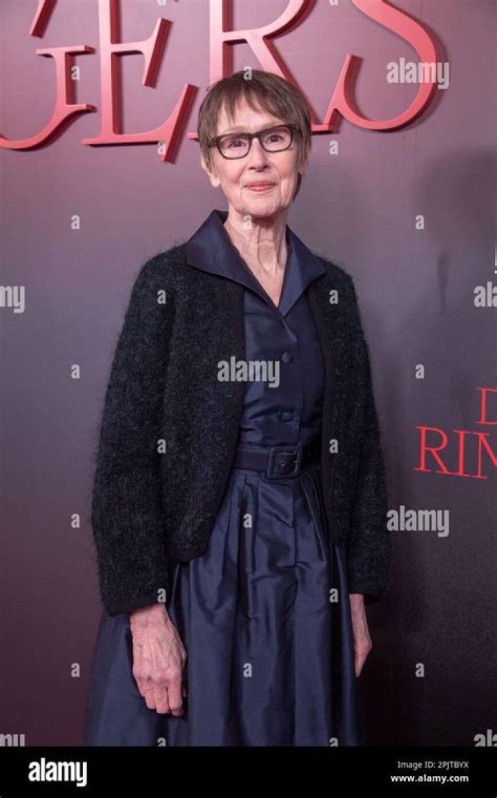 Unveiling The Life And Career Of Susan Blommaert