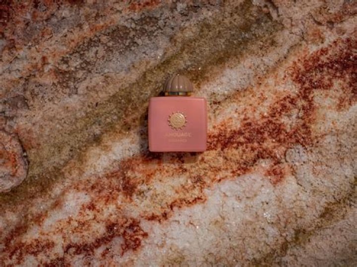 Unveiling The Wealth Of John Summit: A Deep Dive Into His Net Worth